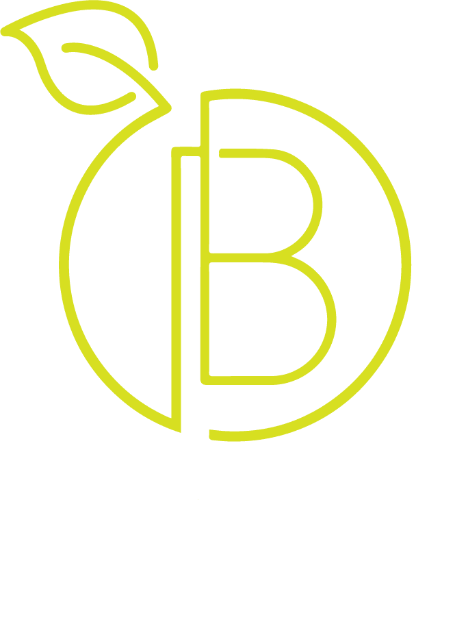 Outdoor Blitz Logo