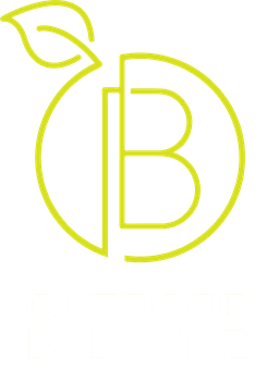Outdoor Blitz Logo
