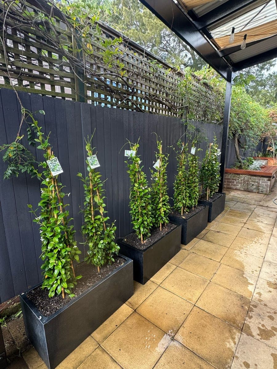Enmore Backyard Makeover with Merbau Seating