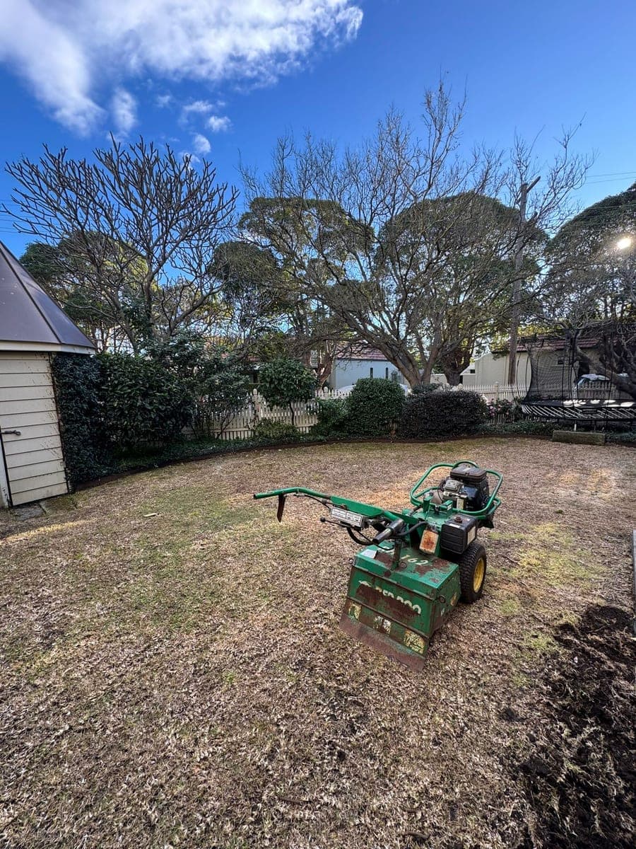 Before - Full yard turf replacement
