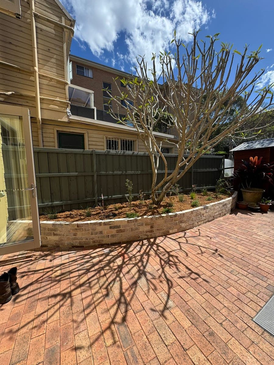 After - Curved planter around frangipani tree