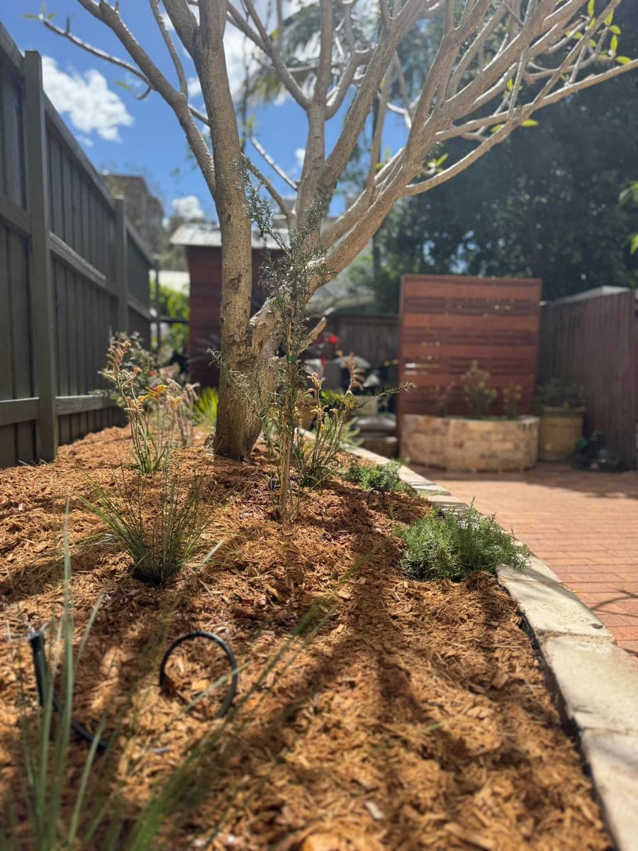 Glebe Heritage Courtyard Planters