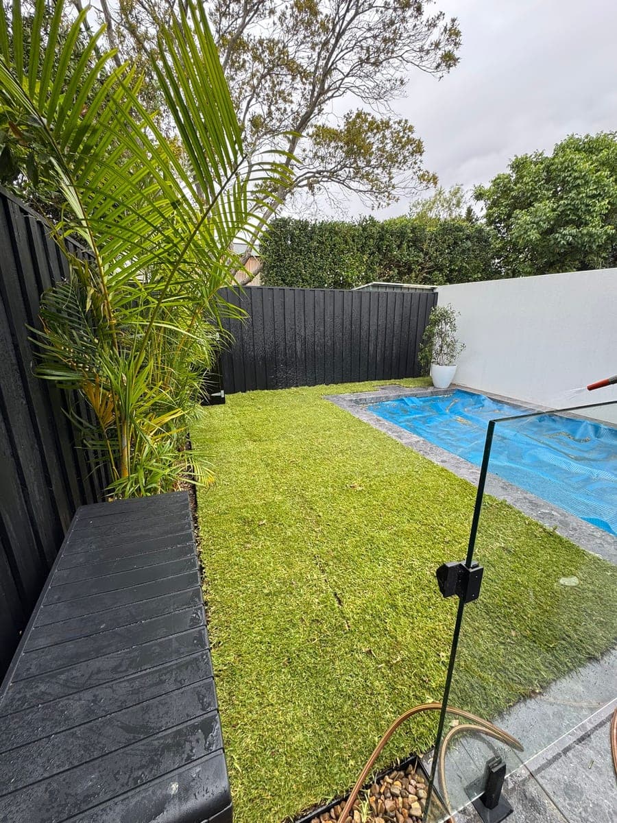 After - Poolside lawn renewal