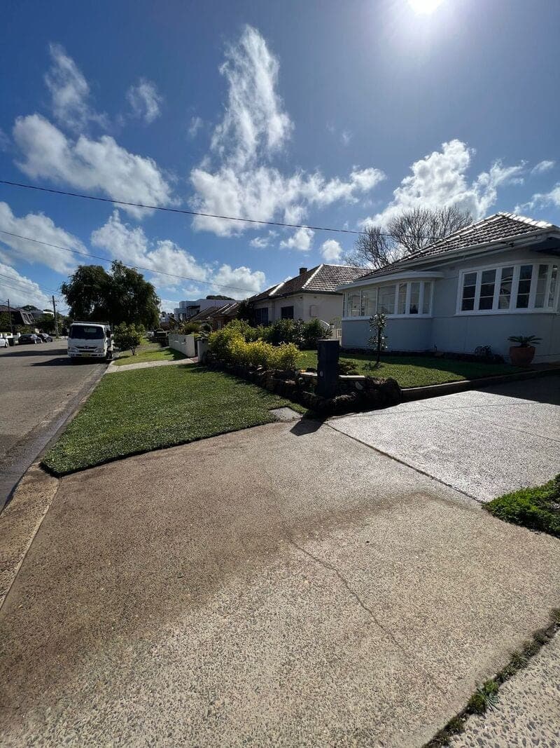 Monterey Complete Yard Renovation