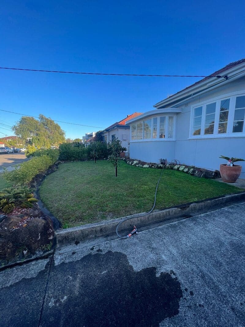 Monterey Complete Yard Renovation