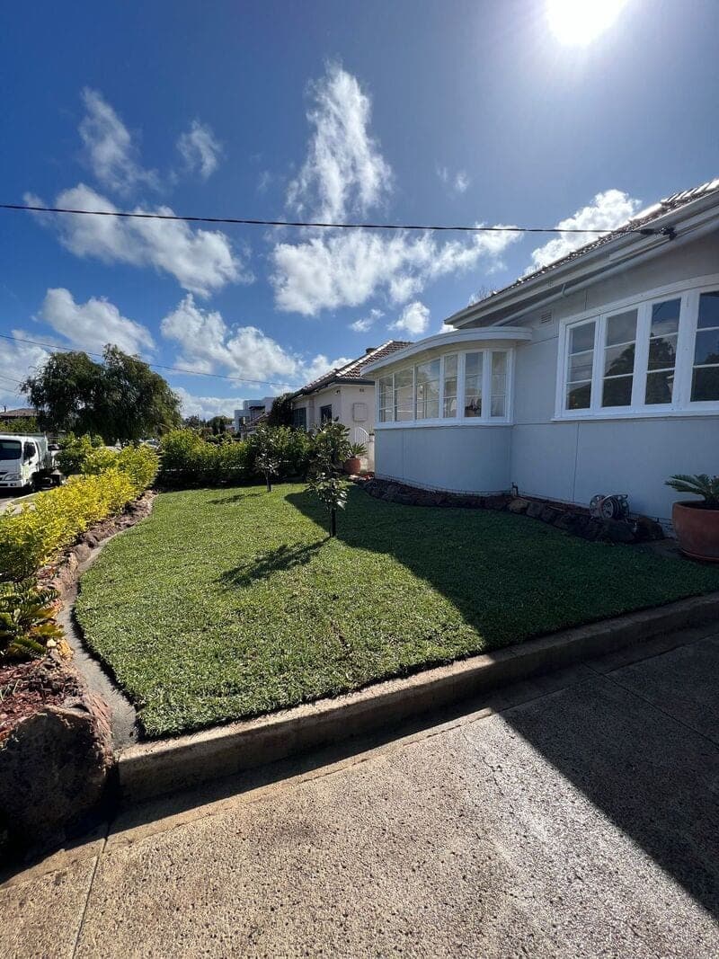Monterey Complete Yard Renovation