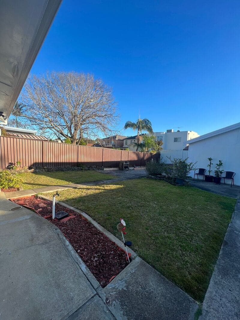 Monterey Complete Yard Renovation