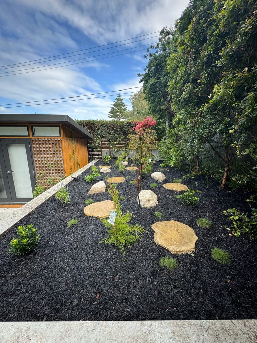 After - Overgrown area transformed to feature garden with Japanese maple