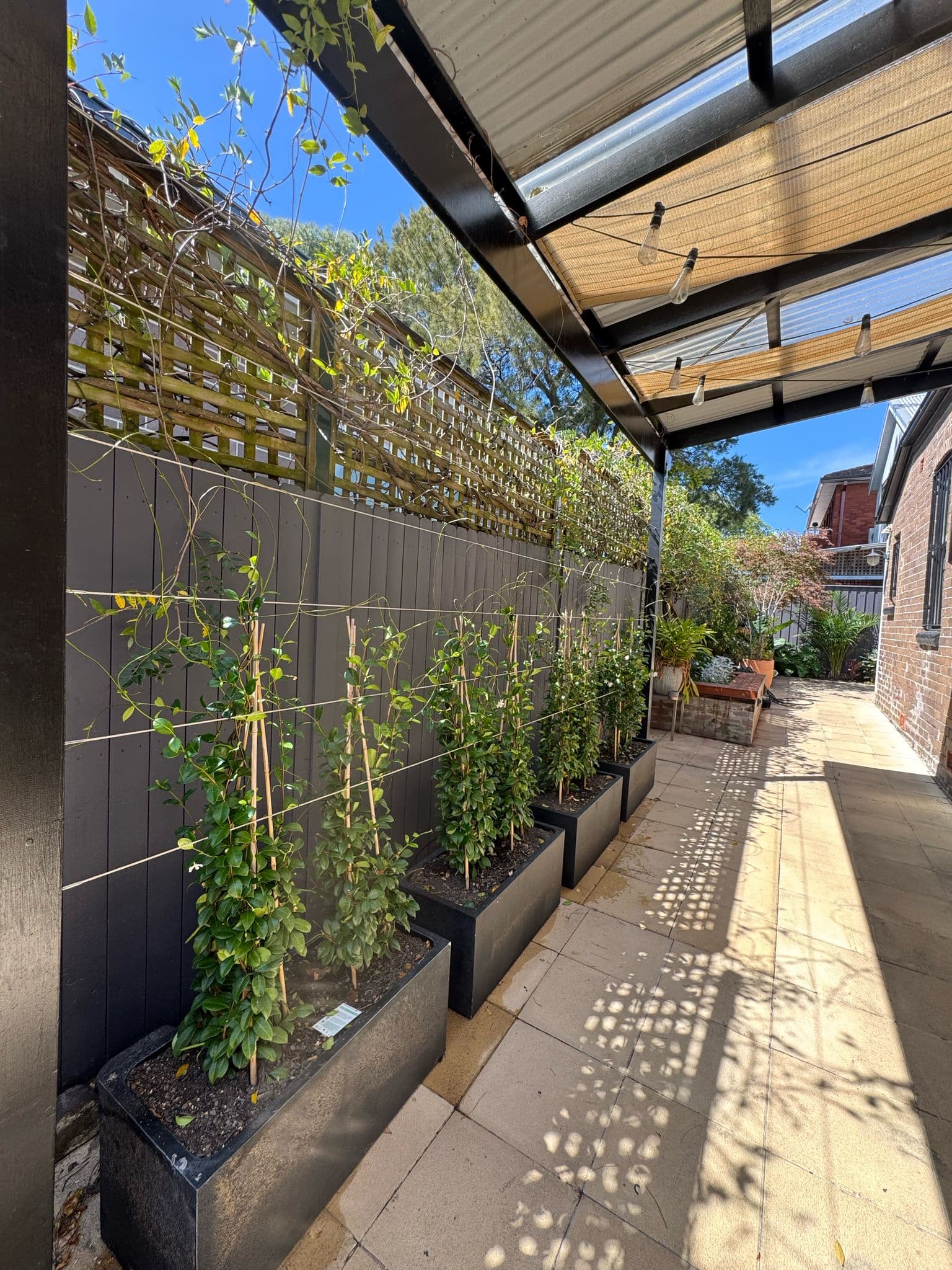 After - Before and after of the boundary wall with star-jasmine climbing feature development