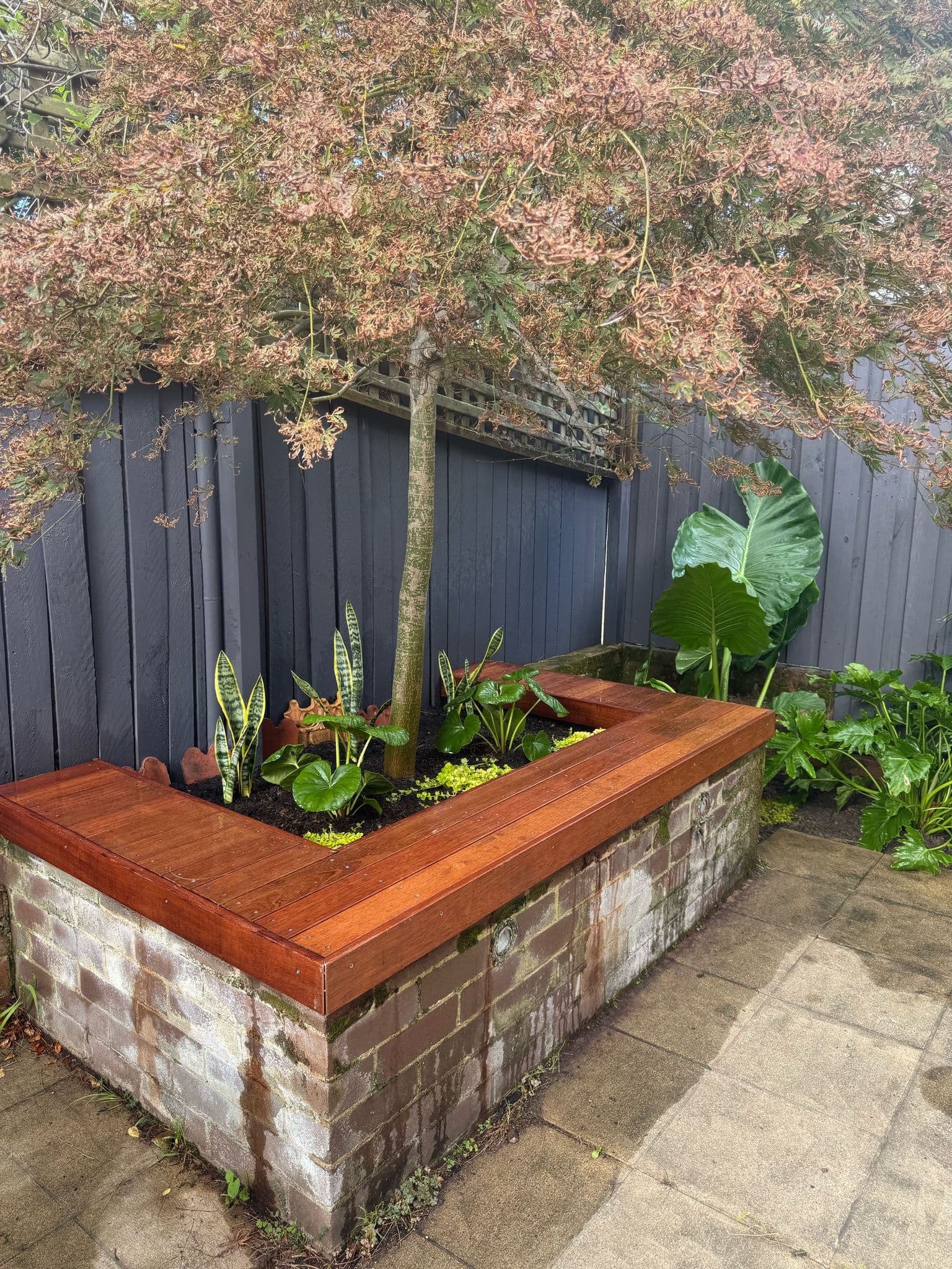 Side view of the Merbau bench seats showing craftsmanship details