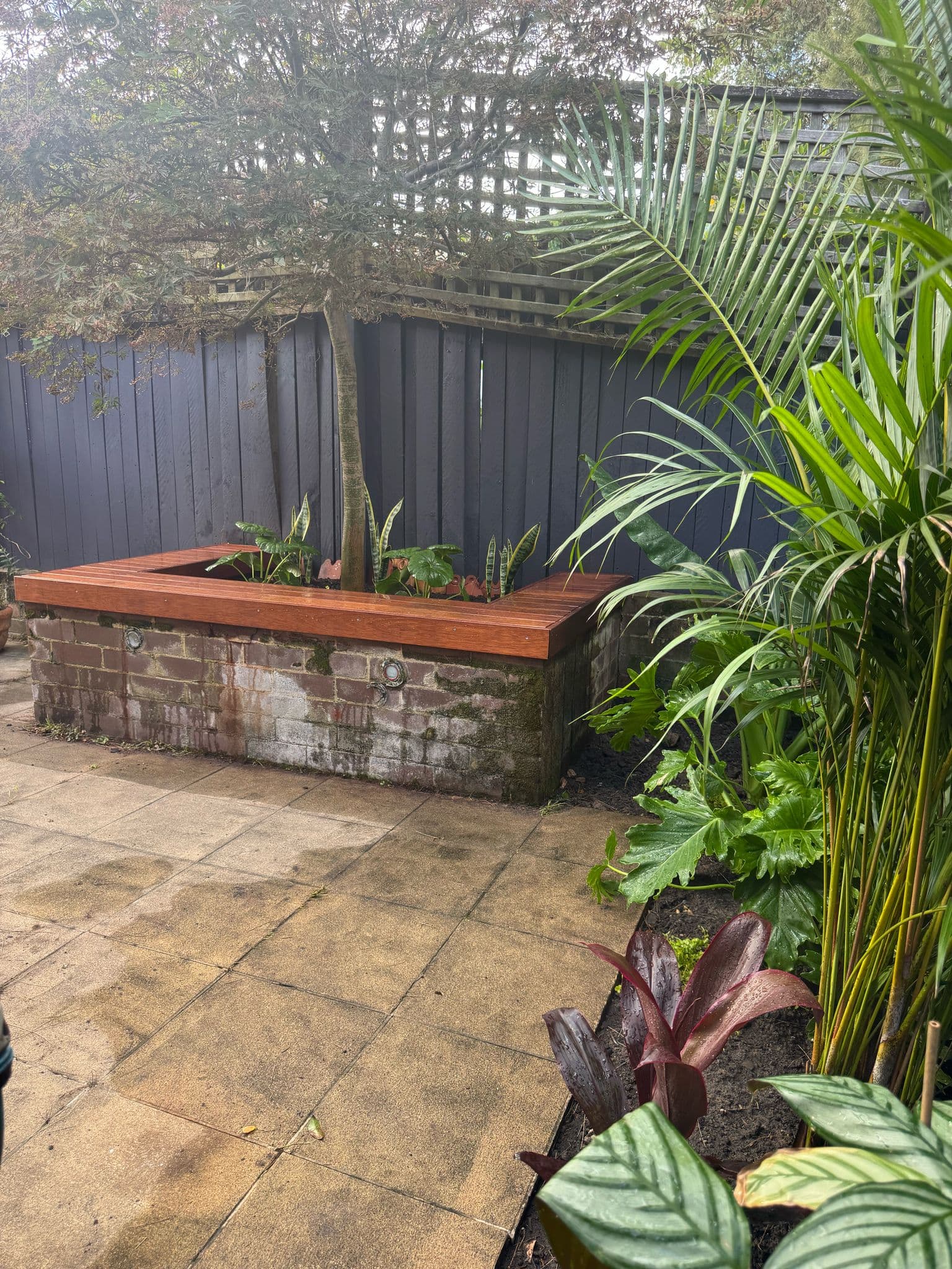 View showing the relationship between seating and garden elements