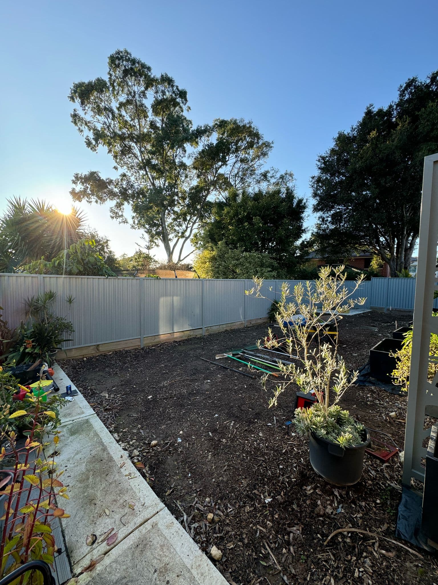 Before - Addition of pergola in the corner of the backyard