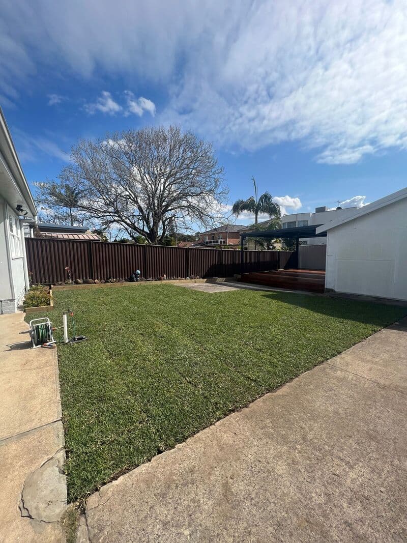 Complete view of the backyard transformation with deck, pergola and fresh turf