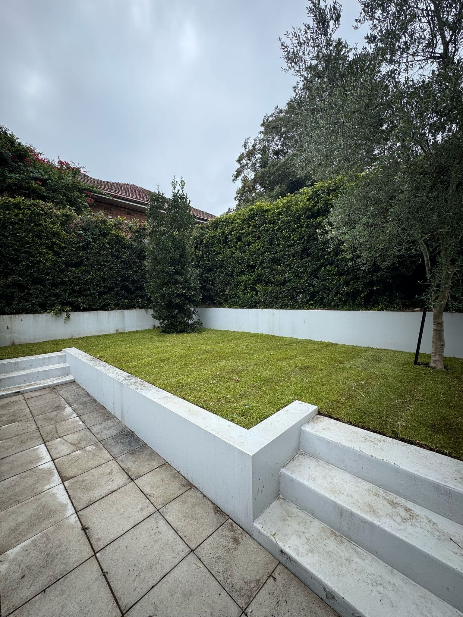 After - Transformation of the main backyard area with new Sir Walter buffalo turf and raised garden feature