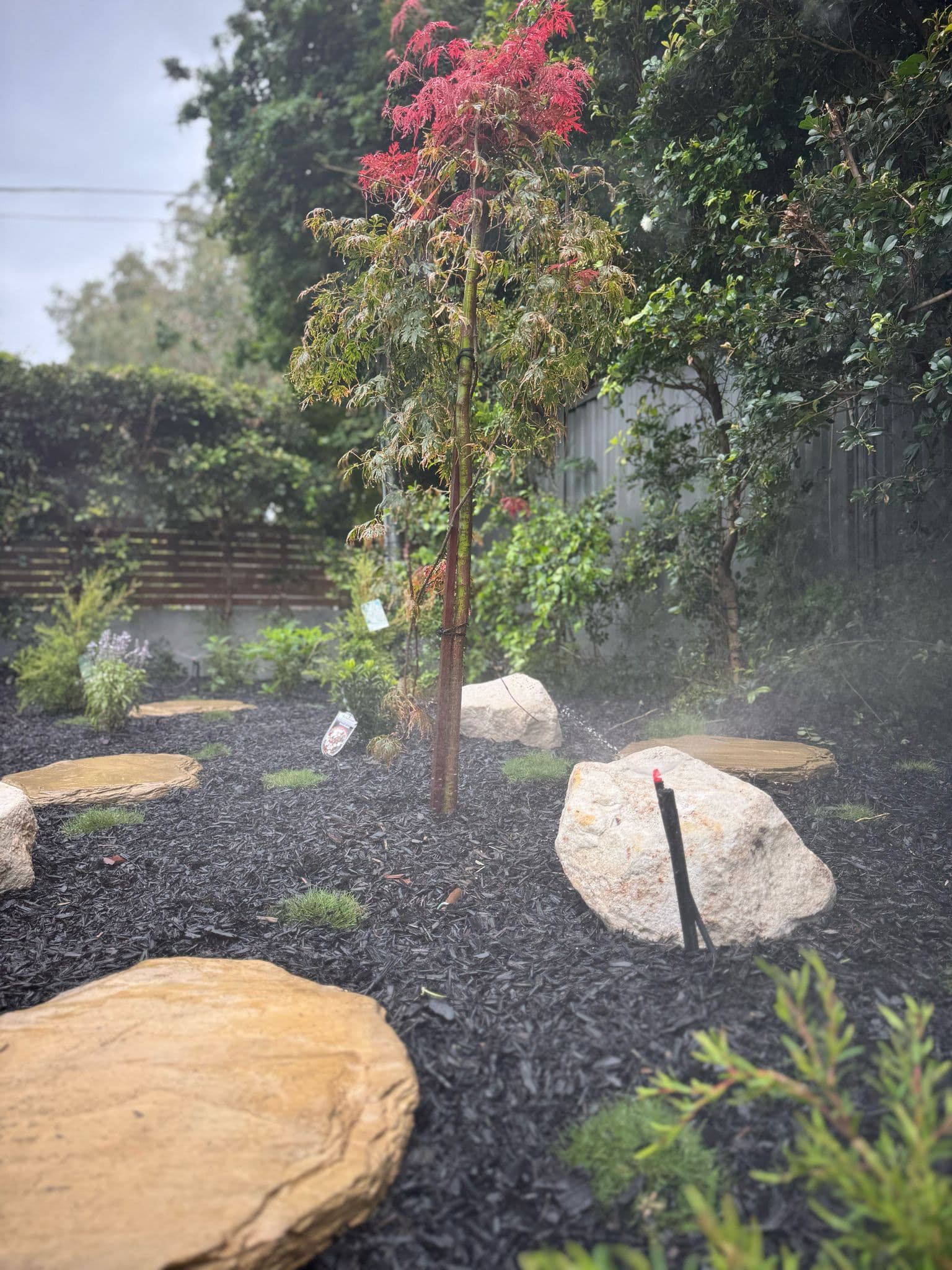Evening view of the backyard showing ambient lighting elements