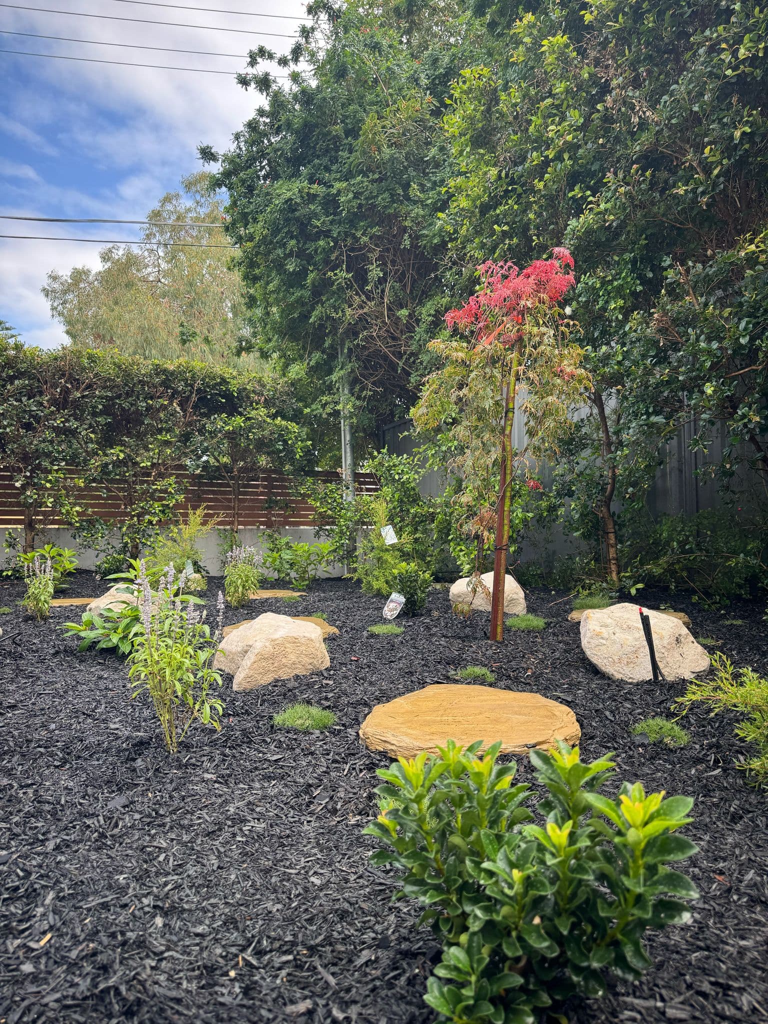 Full width view of the completed backyard transformation