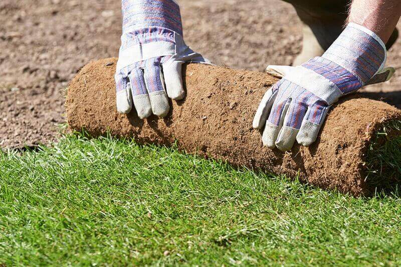 Lush green lawn installation with defined edges and healthy grass coverage