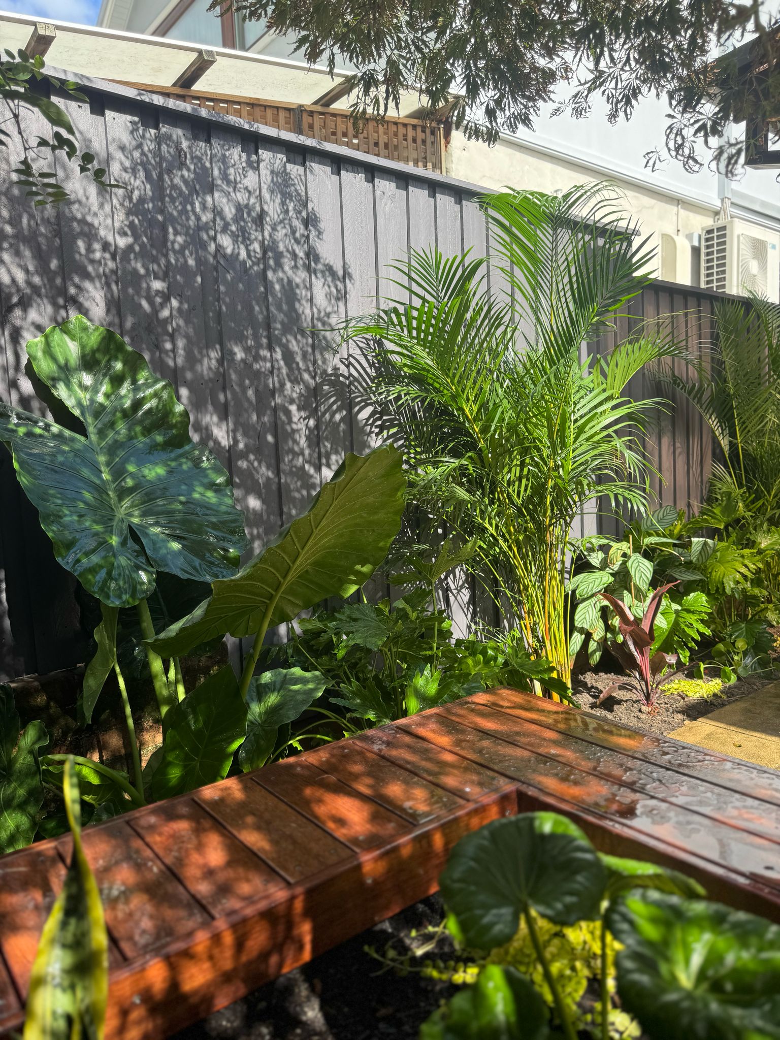 Enmore Backyard Makeover with Merbau Seating