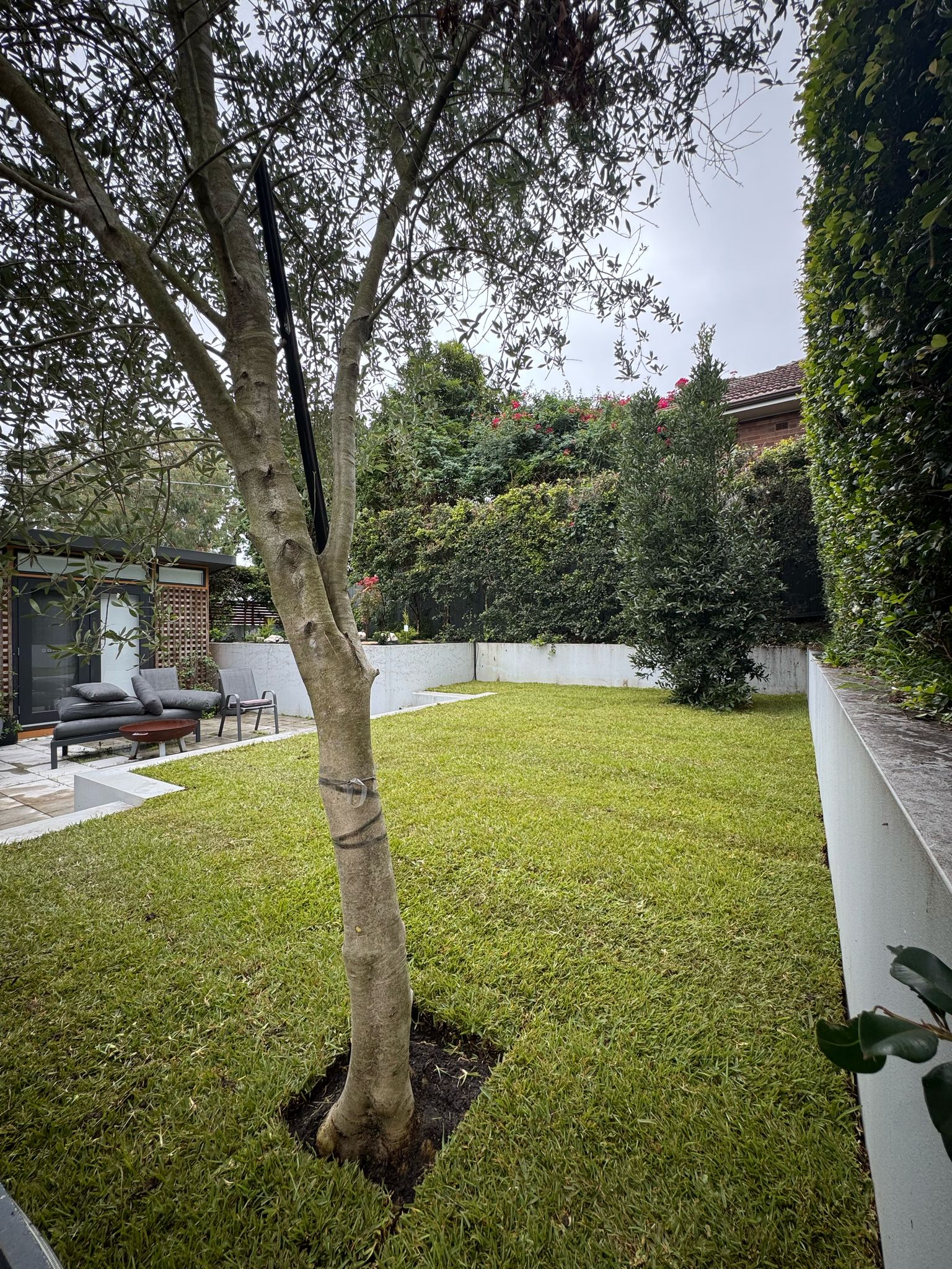 Ryde Backyard Makeover