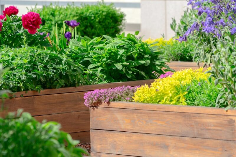 Beautiful Garden Beds in Inner West Sydney