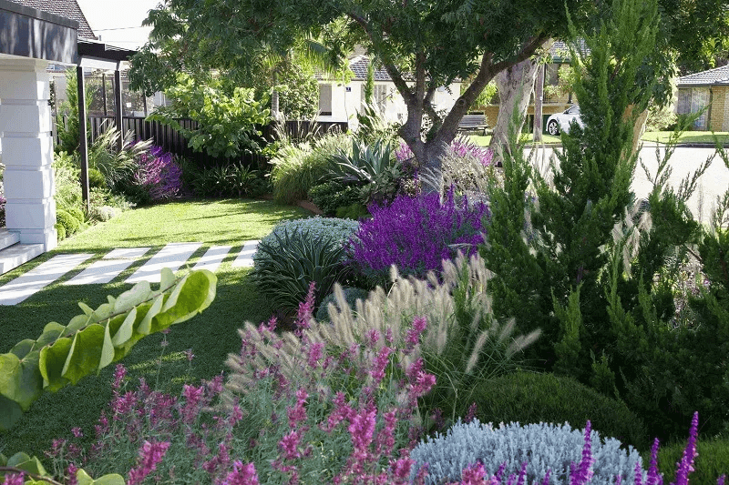 Inner West Landscape Gardeners